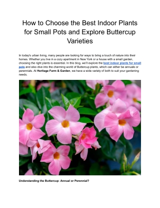 How to Choose the Best Indoor Plants for Small Pots and Explore Buttercup Varieties