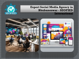 expert social media agency in bhubaneswar seofied