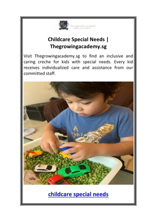 Childcare Special Needs  Thegrowingacademy.sg