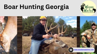 Boar Hunting Georgia