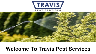 Top Pest Control Company Vero Beach