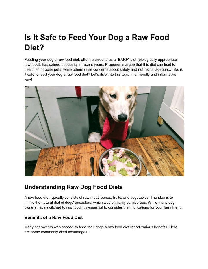 is it safe to feed your dog a raw food diet