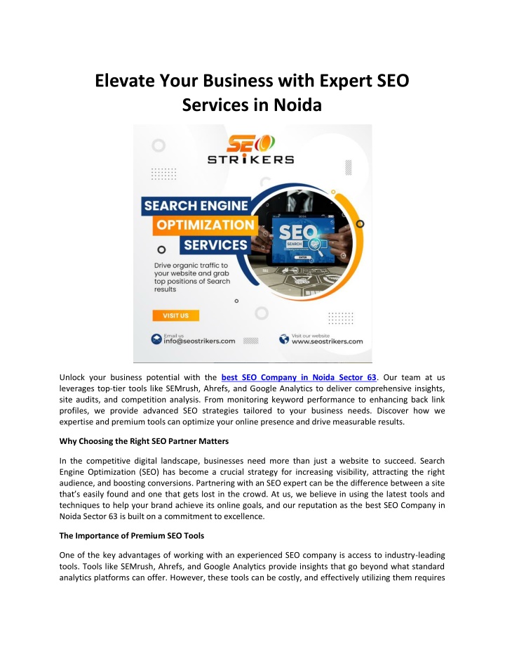 elevate your business with expert seo services