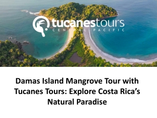 Damas Island Mangrove Tour with Tucanes Tours Explore Costa Rica’s Natural Paradise