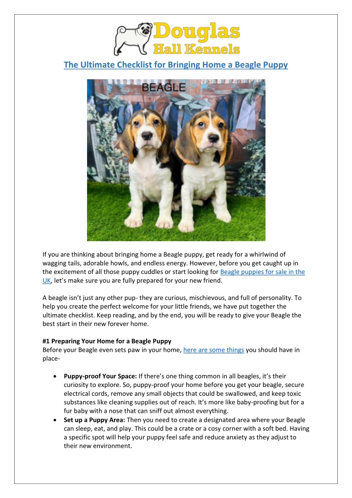 the ultimate checklist for bringing home a beagle