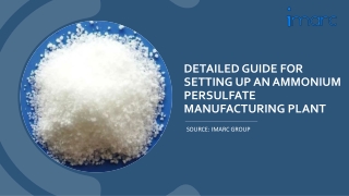 Report on a Ammonium Persulfate Manufacturing Plant PDF