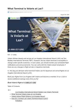 Volaris Airline Terminal Lax