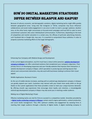 How Do Digital Marketing Strategies Differ Between Bilaspur and Raipur?