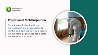 Professional Mold Inspection