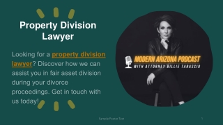 Property Division Lawyer