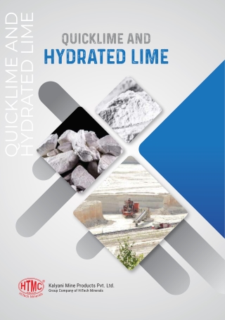 QuickLime and Hydrated Lime Flyer