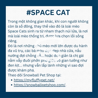 space cat