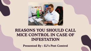REASONS YOU SHOULD CALL MICE CONTROL IN CASE OF INFESTATION
