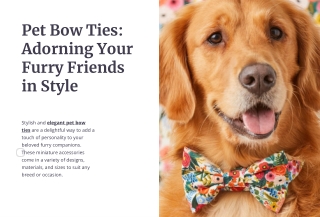 Pet Bow Ties