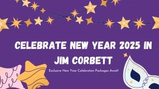 Thrilling New Year Party Packages 2025 in Jim Corbett