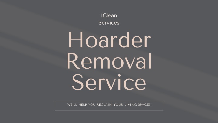 1clean services