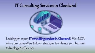 it consulting services in cleveland it consulting