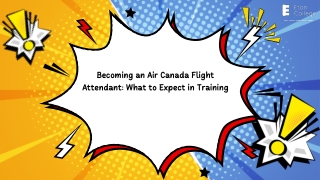 Becoming an Air Canada Flight Attendant  What to Expect in Training