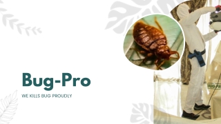 bug pro