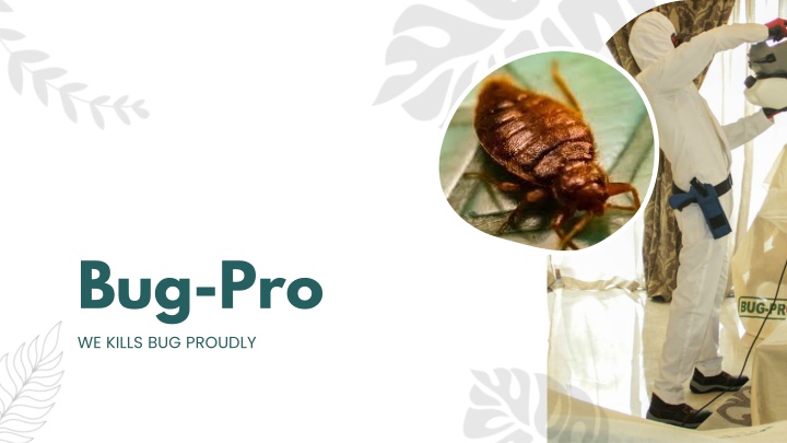 bug pro