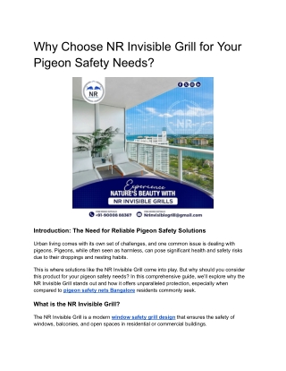 Why Choose NR Invisible Grill for Your Pigeon Safety Needs