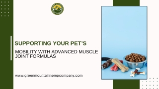 supporting your pet s