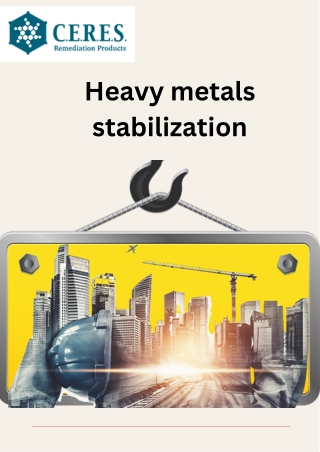 Heavy Metals Stabilization: Techniques and Benefits