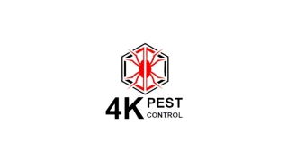 Best Pest Control Newmarket