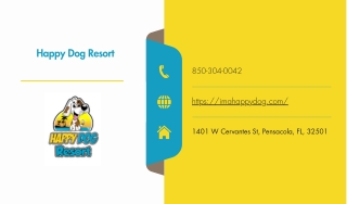 happy dog resort