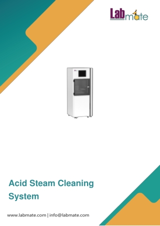 acid steam cleaning system