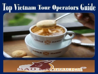 Top Vietnam Tour Operators Guide