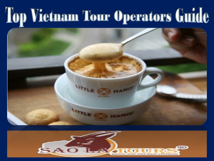 top vietnam tour operators guide