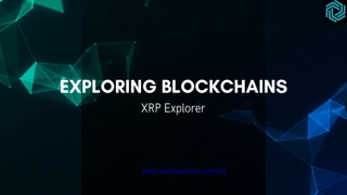exploring blockchains