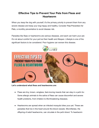 effective tips to prevent your pets from fleas