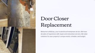 door closer replacement