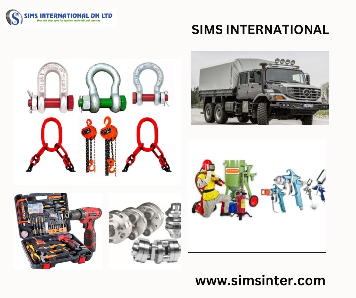 sims international