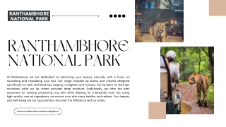Plan Your Perfect Safari Top Ranthambore National Park Tour Packages