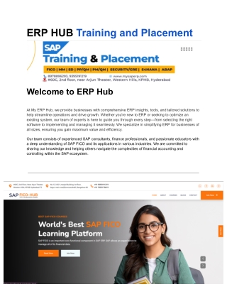 erp hub training and placement