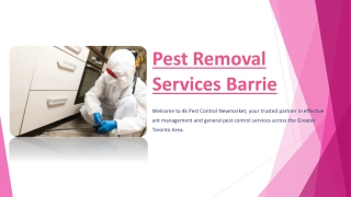 Pest-Removal-Services-Barrie