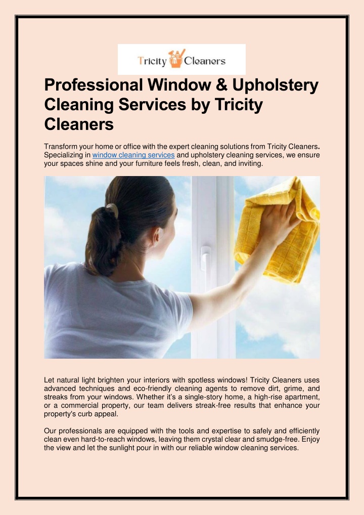 professional window upholstery cleaning services