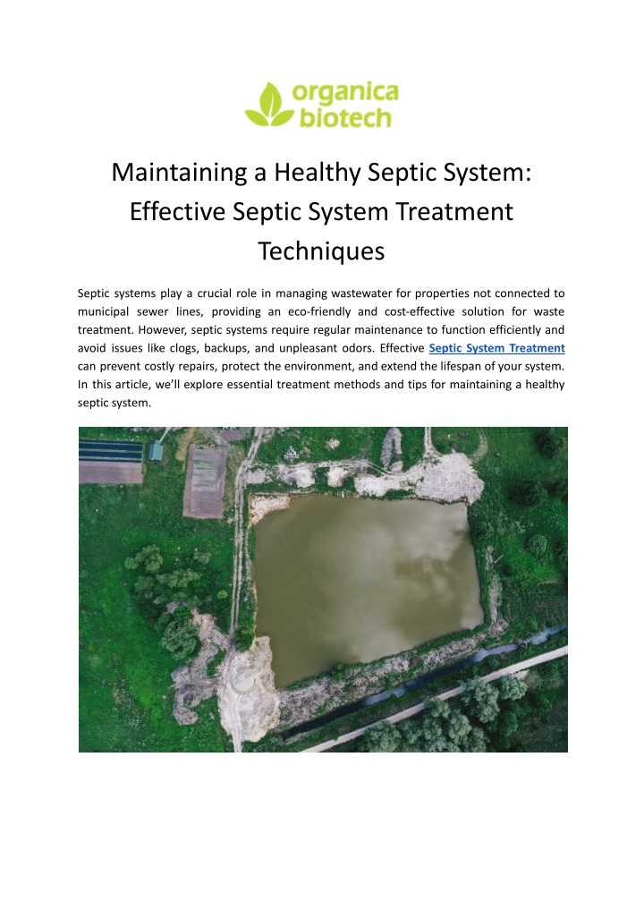 maintaining a healthy septic system effective