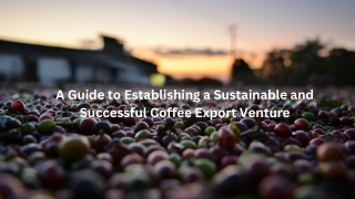 How to Start an Ethiopian Coffee Export Business