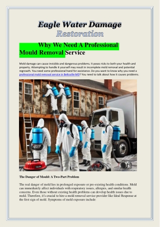 eagle water damage why we need a professional