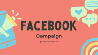 facebook campaign www adfully com