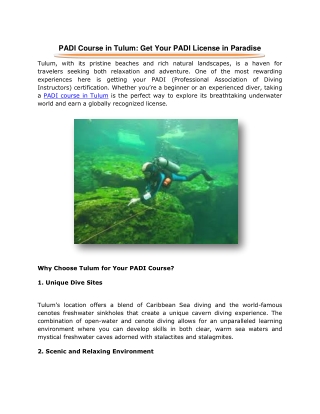 PADI Course in Tulum Get Your PADI License in Paradise