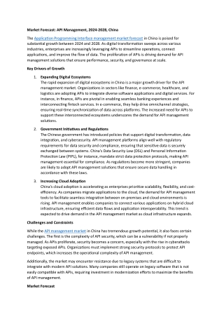 market forecast api management 2024 2028 china