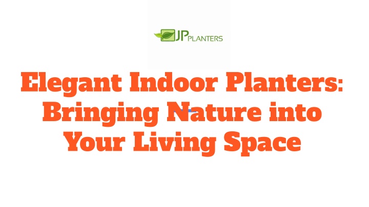 elegant indoor planters bringing nature into your