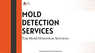 mold detection services top mold detection