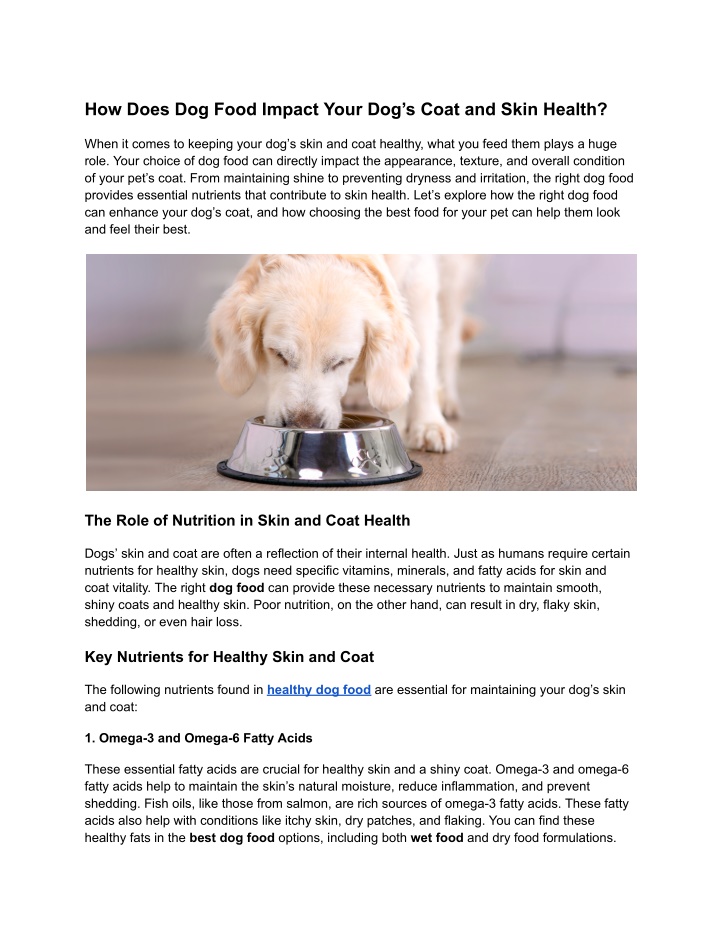 how does dog food impact your dog s coat and skin