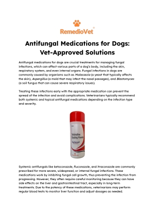 Antifungal Medications for Dogs_ Vet-Approved Solutions